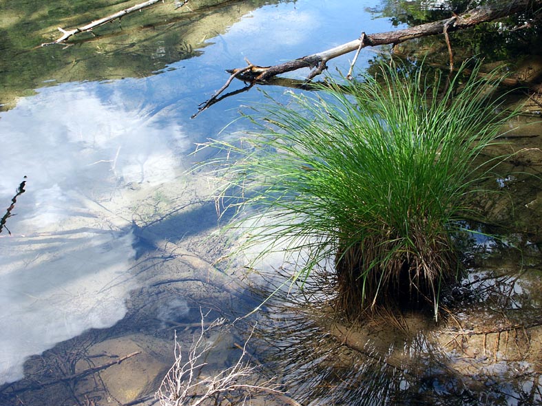 7I_AZUSAMRIVEGREEN.JPG - 172,440BYTES