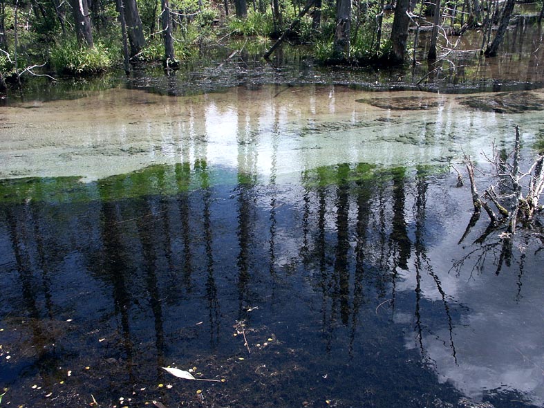 7I_AZUSAMRIVERUP.JPG - 168,364BYTES