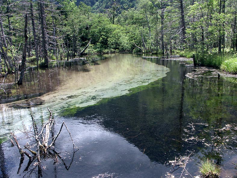 7I_AZUSAMRIVERUPS.JPG - 194,769BYTES