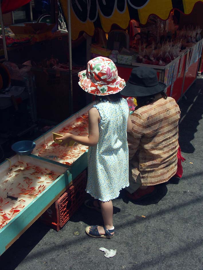 A1HIRATUKAKINGYO.JPG - 125,638BYTES