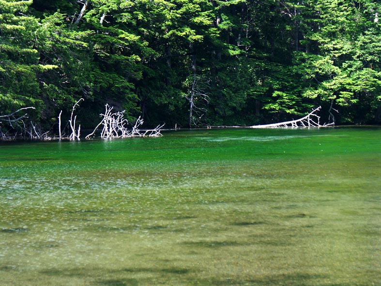 A1_AZUSAM_GREENWATER.JPG - 157,767BYTES