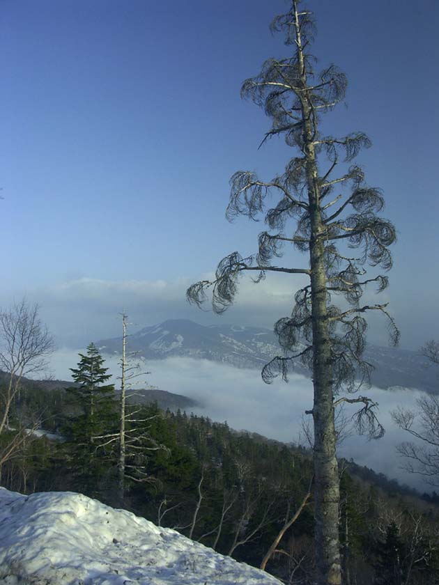 A1_BANDAIAZUMA_SKYLINE.JPG - 76,676BYTES