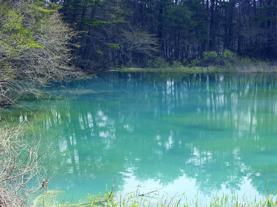 A1_BANDAI_AONUMAGREEN.JPG - 149,562BYTES