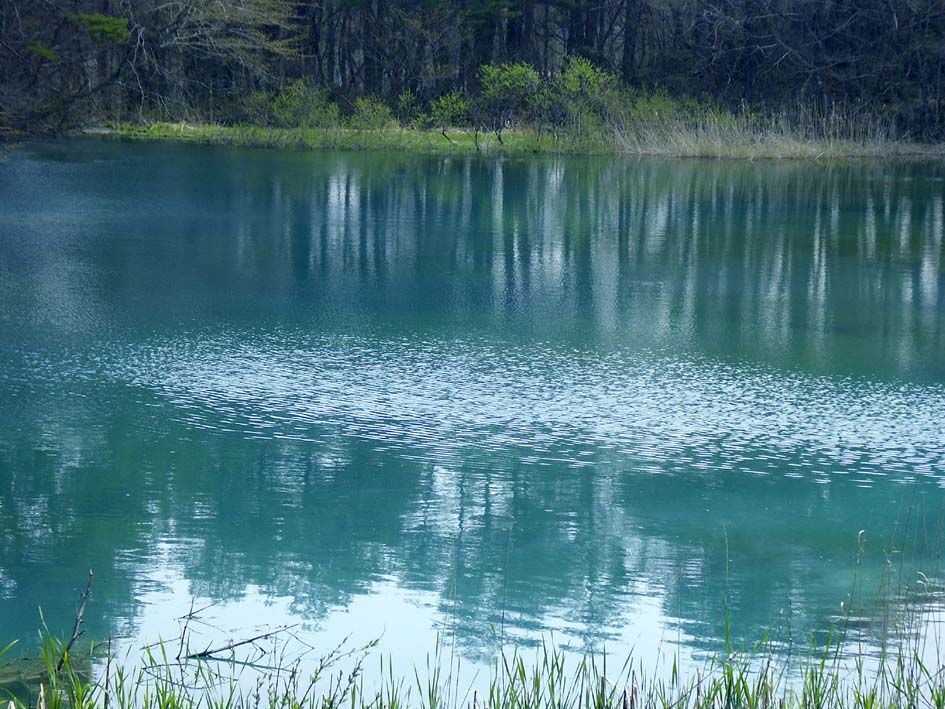 A1_BANDAI_AONUMAWIND.JPG - 151,235BYTES