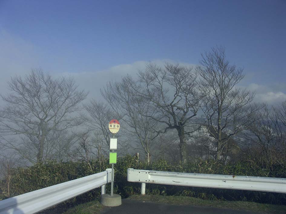 A1_BANDAI_AZUMABUS.JPG - 99,710BYTES