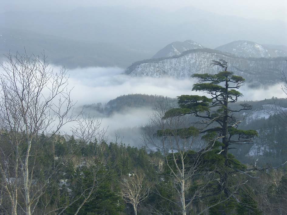 A1_BANDAI_AZUMACLOUD.JPG - 115,174BYTES