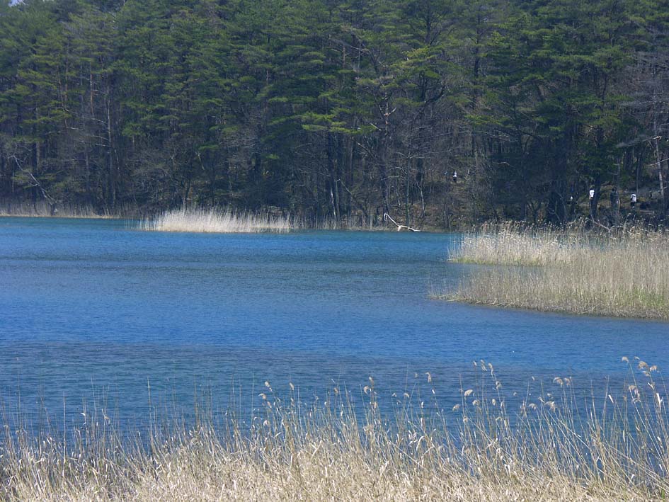 A1_BANDAI_BENTENBLUE.JPG - 155,224BYTES