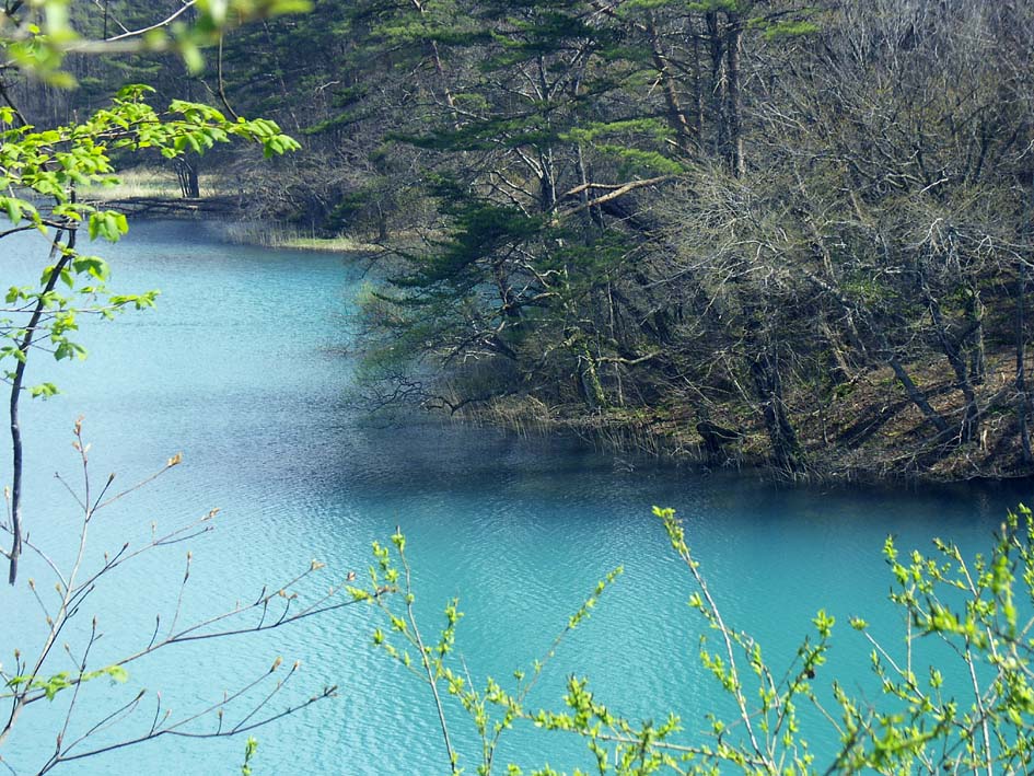 A1_BANDAI_BISHAMONLAKEISRAND.JPG - 195,582BYTES