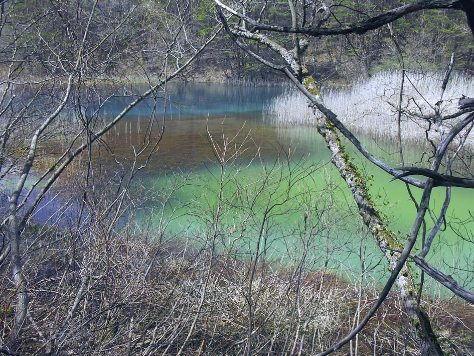 A1_BANDAI_MIDORO.JPG - 258,419BYTES