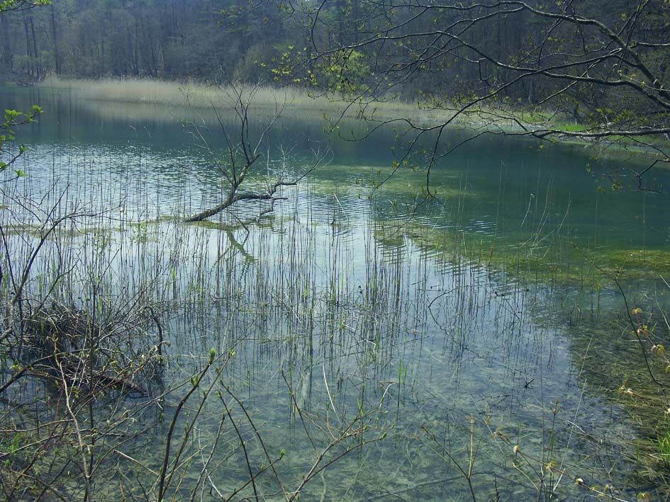 A1_BANDAI_RURINUMA.JPG - 187,384BYTES