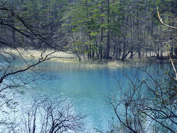 A1_BANDAI_YANAGINUMA.JPG - 147,768BYTES