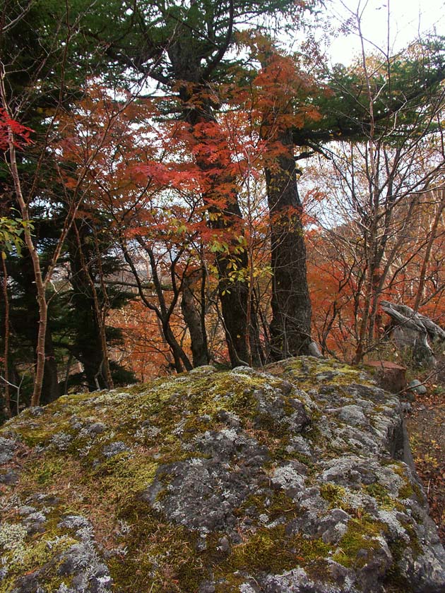 A1_FUJI5_KOYOROCK.JPG - 204,237BYTES