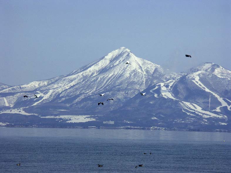 A1_GOSIKI_BANDAIL.JPG - 63,846BYTES