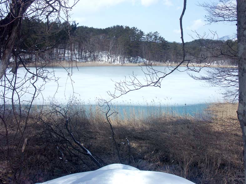 A1_GOSIKI_BENTENL1.JPG - 119,996BYTES