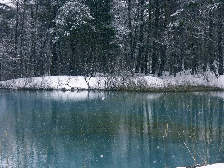 A1_GOSIKI_BLUEDARK.JPG - 134,612BYTES