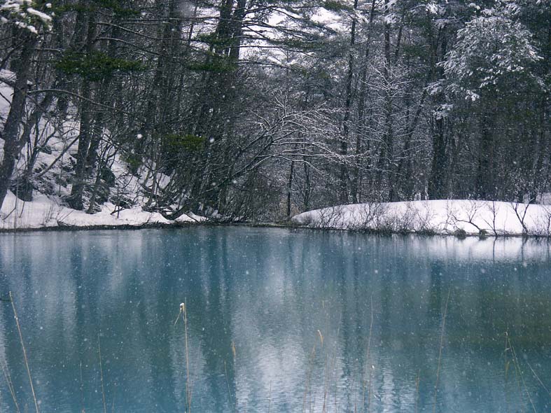 A1_GOSIKI_BLUEDARKC.JPG - 135,732BYTES