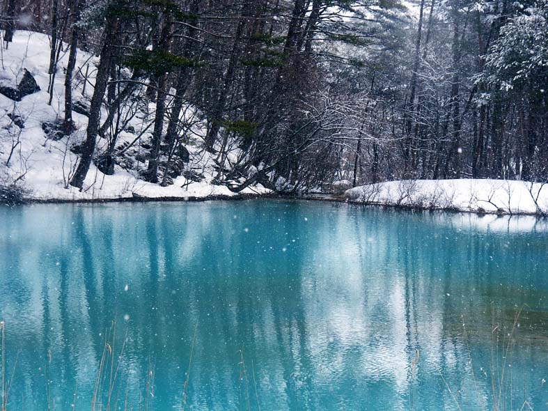 A1_GOSIKI_BLUEPONDL.JPG - 153,630BYTES