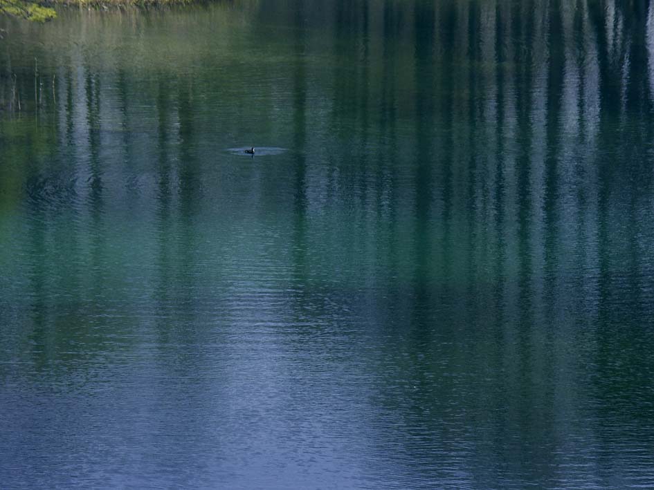 A1_GOSIKI_KAWAKAMI.JPG - 95,614BYTES