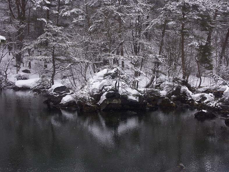 A1_GOSIKI_YANAGILL.JPG - 152,074BYTES