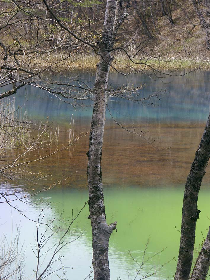 A1_GOSIKI_MIDORO.JPG - 164,122BYTES