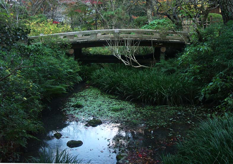 A1_SANKEI_MIZU.JPG - 135,718BYTES