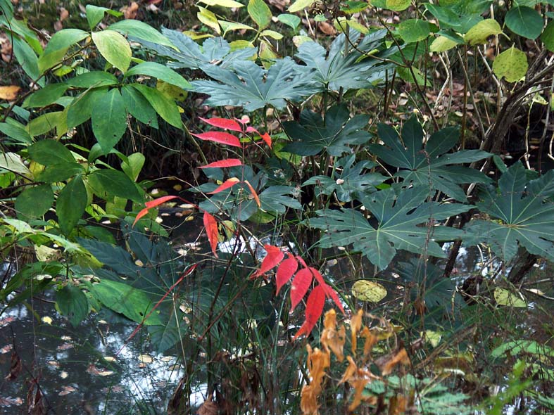 A1_SANKEI_PLANTS.JPG - 157,330BYTES