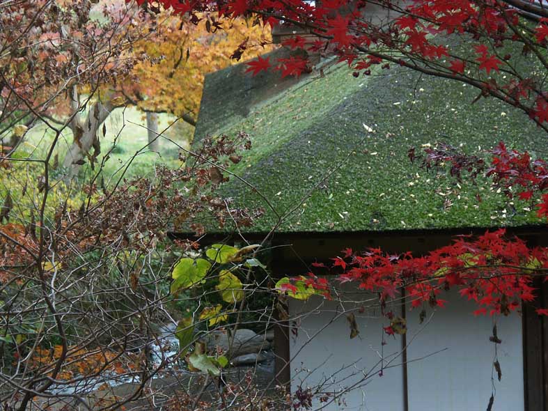 A1_SANKEIEN_GREENROOF.JPG - 132,133BYTES