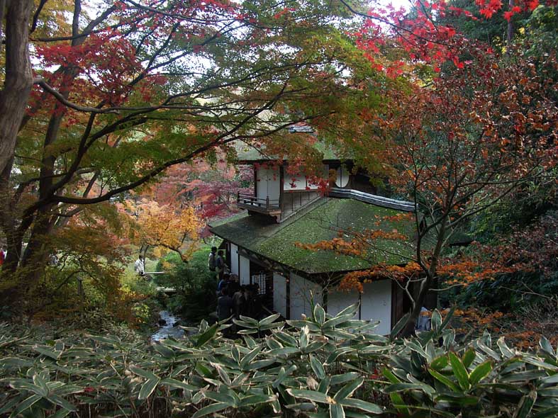 A1_SANKEIEN_GREENROOFA.JPG - 151,898BYTES