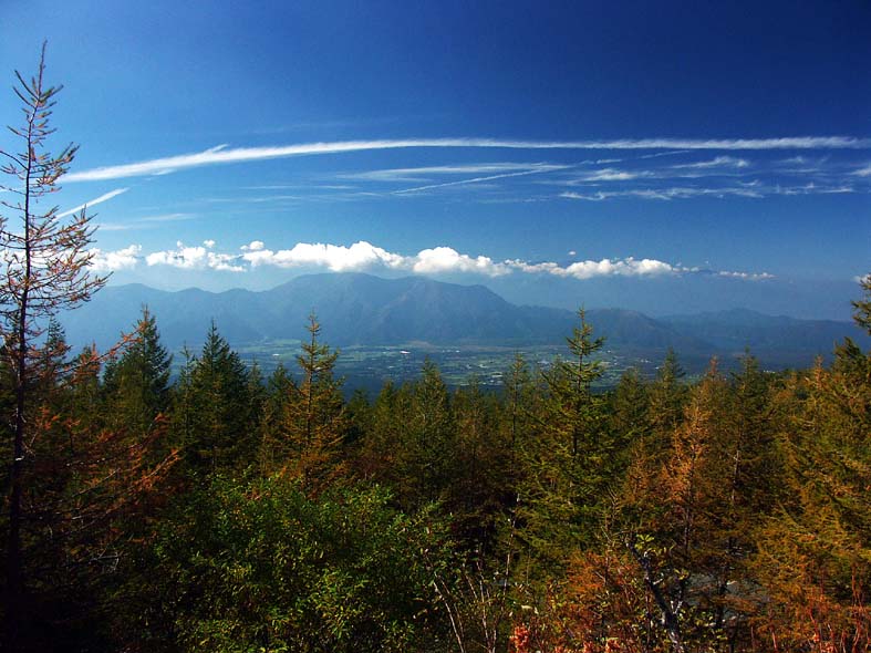 A1_SCOUP.JPG - 107,971BYTES