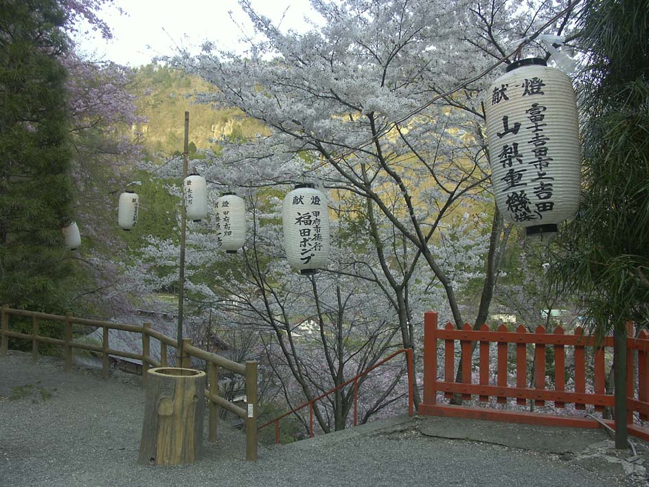 A1_SHOSENKYO_JINJACHOTIN.JPG - 189,293BYTES