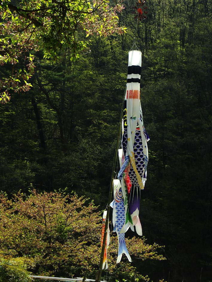 A1_SHOSENKYO_KOINOBORI.JPG - 199,314BYTES