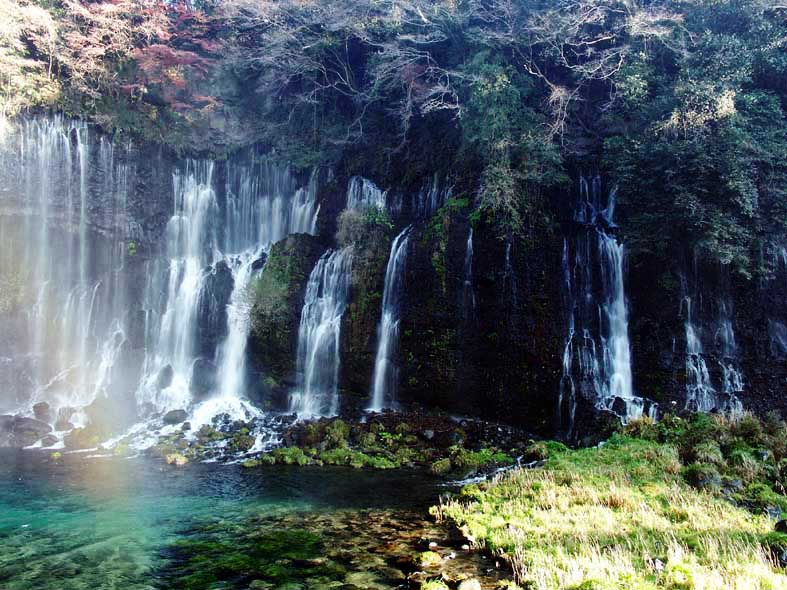 A1_SIRAITO_TAKIGREEN.JPG - 120,845BYTES