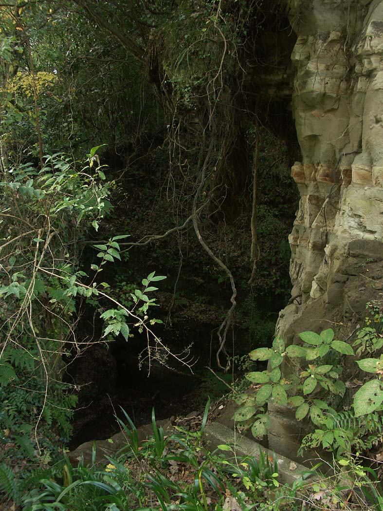 A1_YOUROU_CAVE2.JPG - 220,709BYTES