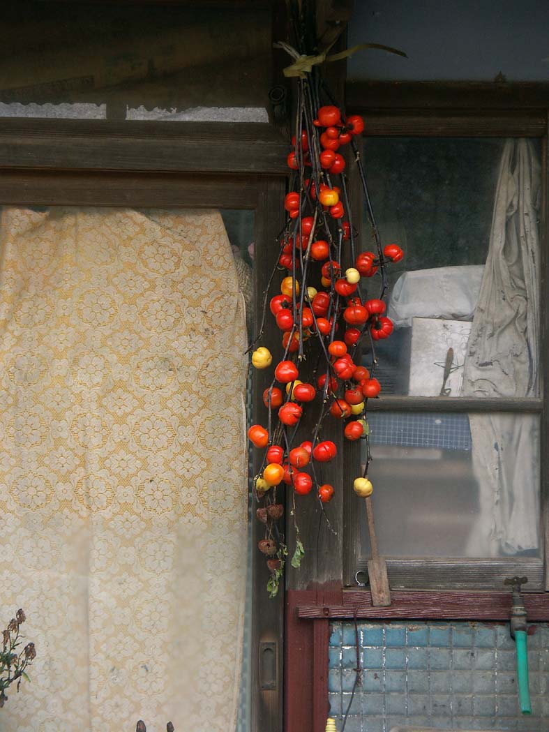 A1_YOUROU_WINDOWUP.JPG - 129,594BYTES