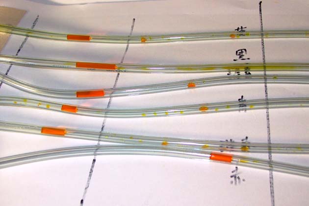 AK_INK.JPG - 46,232BYTES