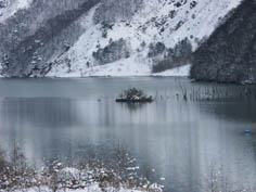 E_ISOLATED.JPG - 31,092BYTES