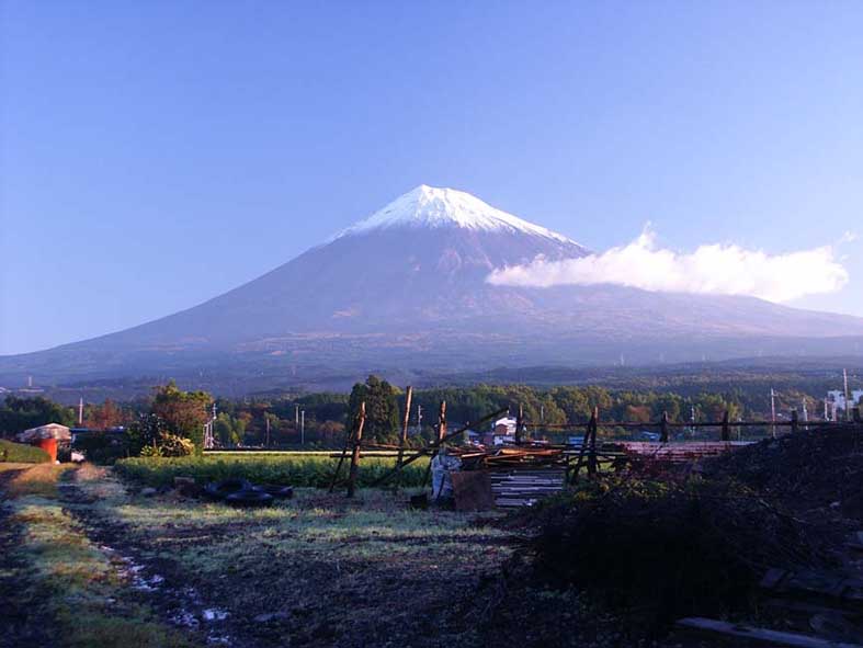 FUJI_H1.JPG - 55,980BYTES