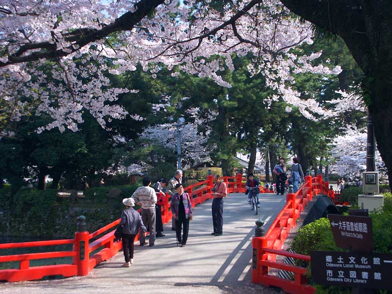 O_REDBRIDGE.JPG - 137,640BYTES