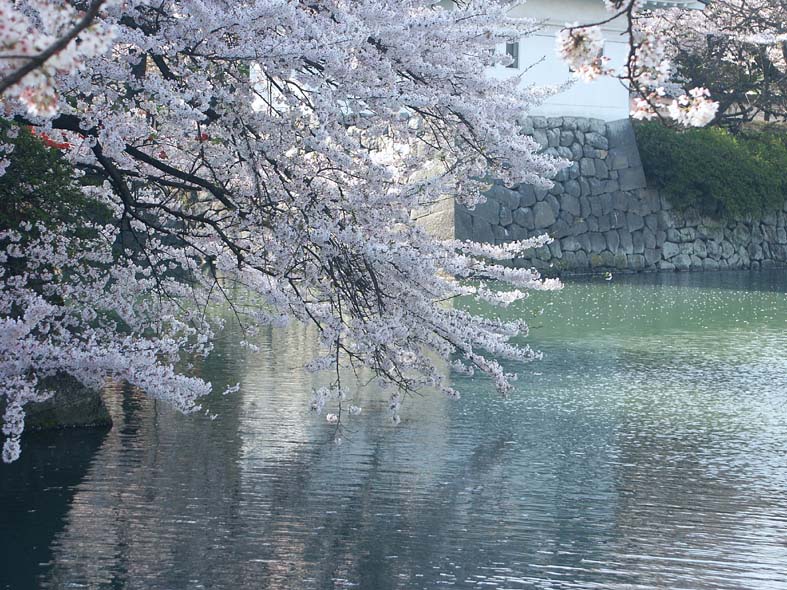 O_OHORI.JPG - 161,595BYTES