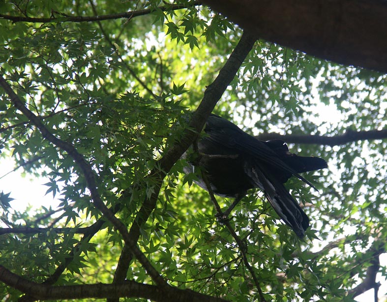 PICT0013_S.JPG - 170,918BYTES