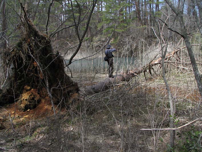 S1_5SIKI_AKAME.JPG - 132,521BYTES