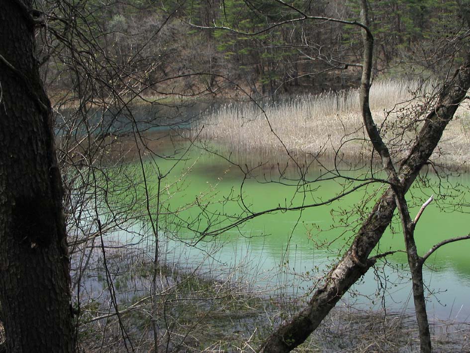 S1_5SIKI_MIDORONUMA.JPG - 178,439BYTES