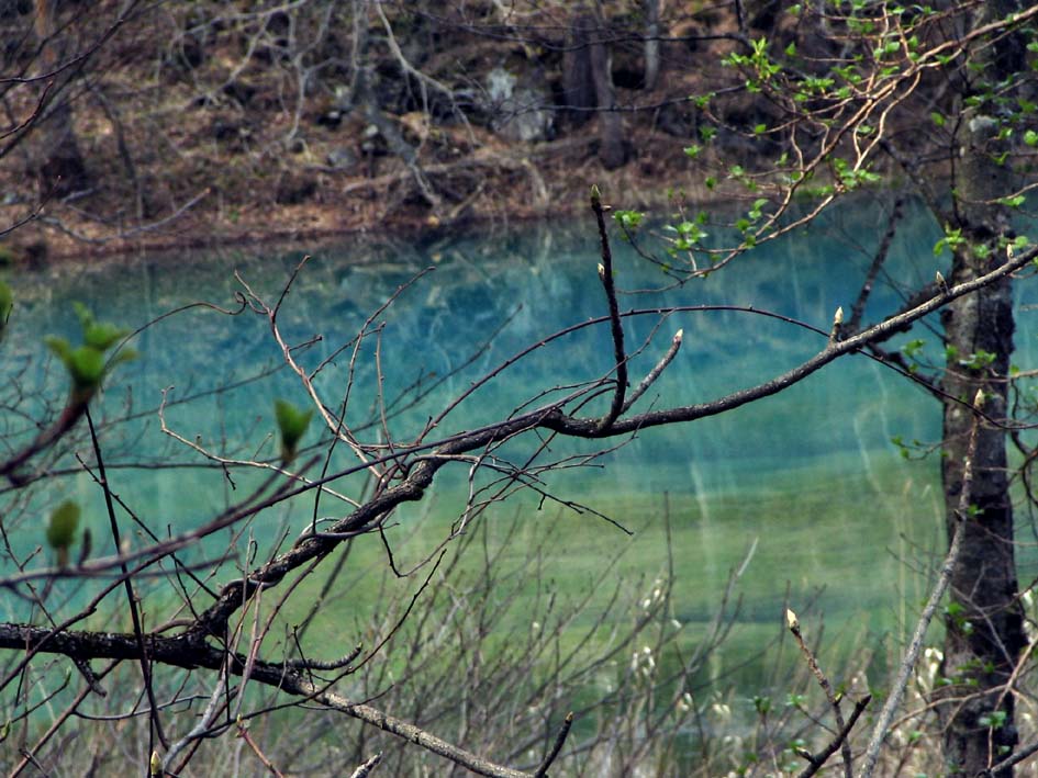 S1_AONUMA430.JPG - 135,946BYTES