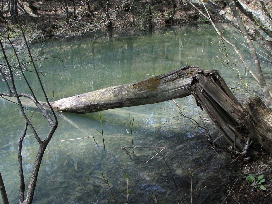 S1_BANDAI_AONUMA.JPG - 167,482BYTES