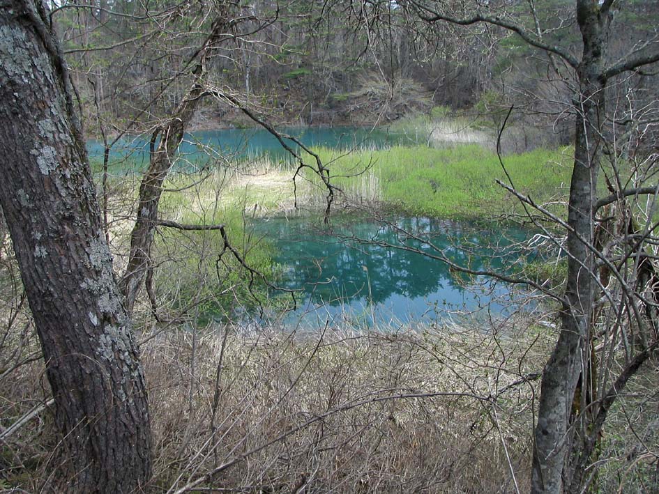 S1_BANDAI_AONUMA3.JPG - 224,705BYTES