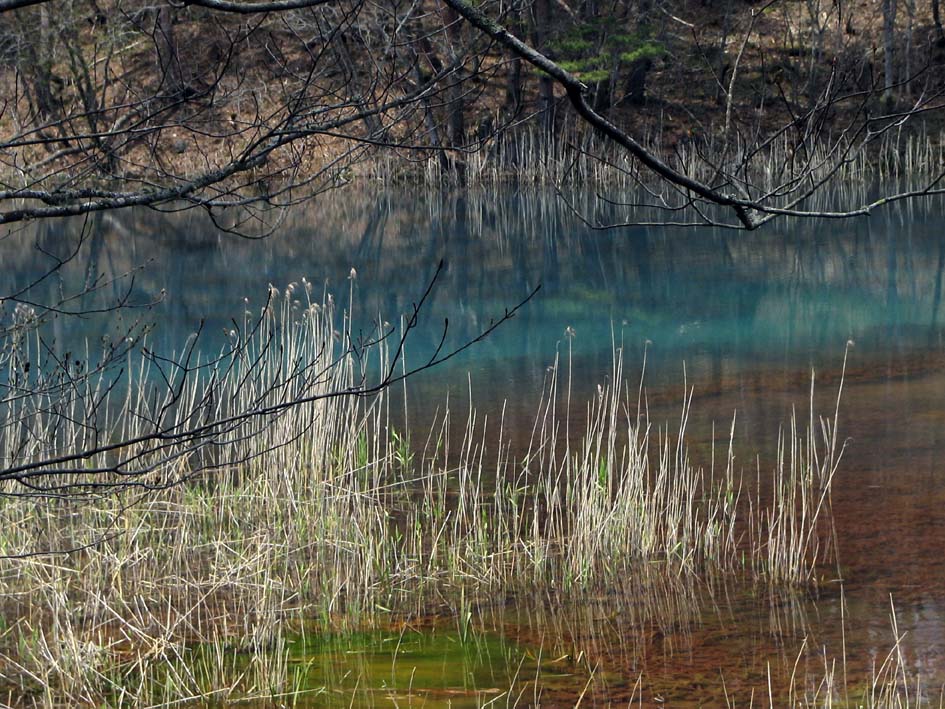 S1_MIDORO430A.JPG - 179,804BYTES