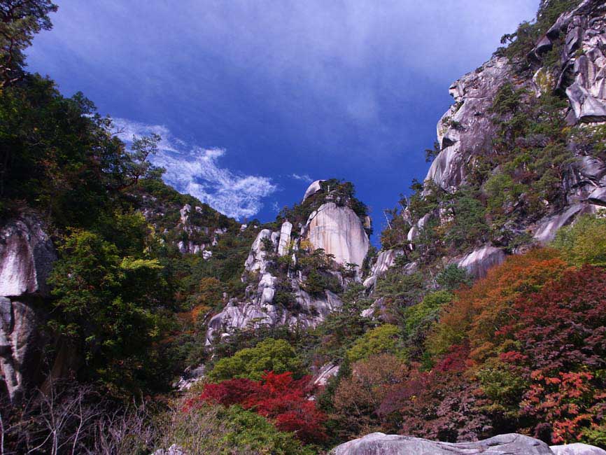 SHO_MTALL.JPG - 125,349BYTES