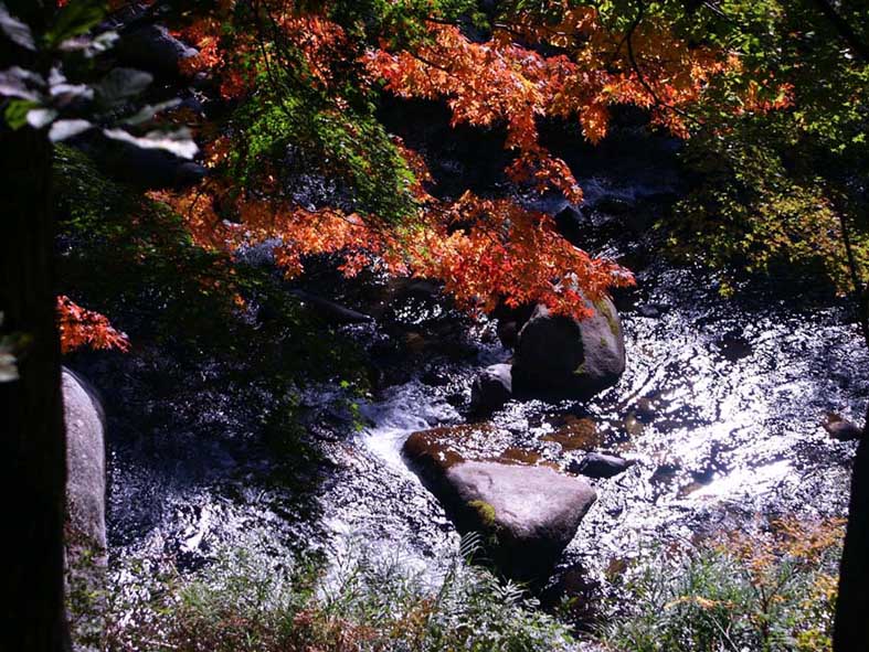 SHO_ROCK3.JPG - 149,835BYTES