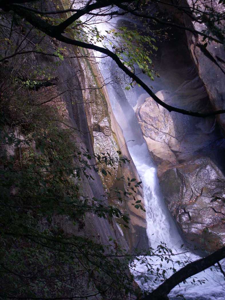 SHO_FALL.JPG - 140,207BYTES