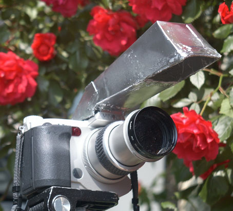 S_TEPPENNF.JPG - 71,488BYTES